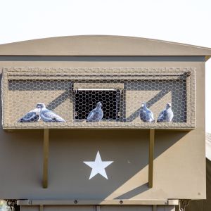 airborne renkum 20092024  mg