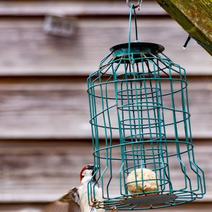 20240622 mg verbeterd nr