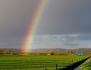 regenboog